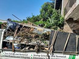 Best Recycling Services for Junk  in Ladysmith, WI