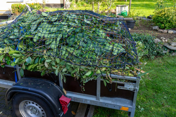Best Hoarding Cleanup  in Ladysmith, WI